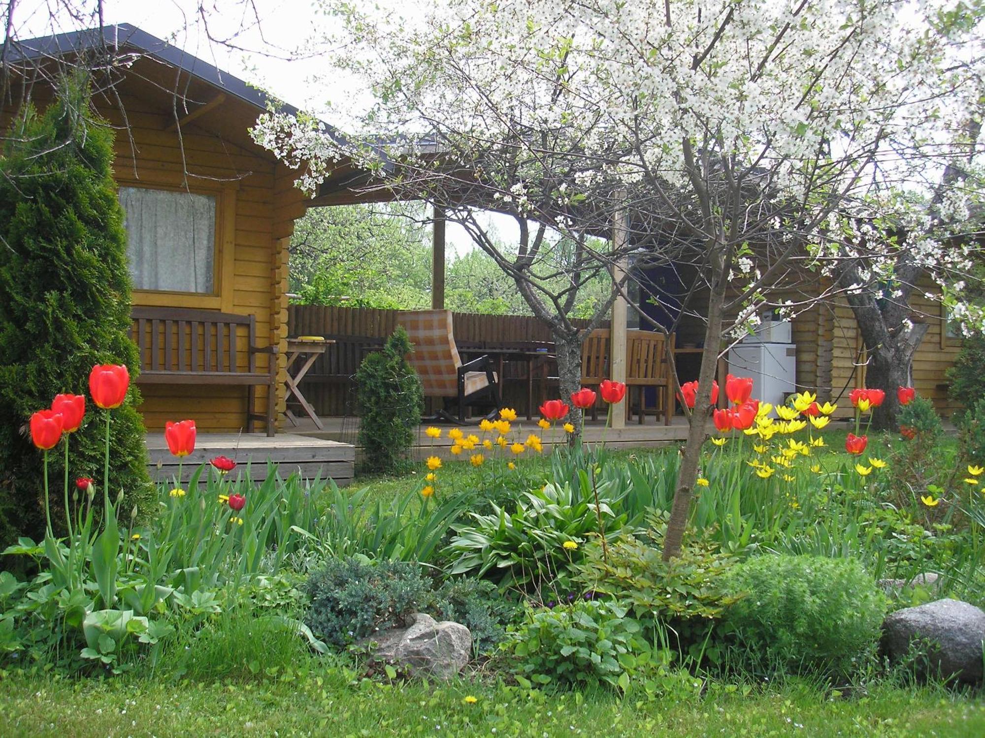 Kaare Guesthouse Viljandi  Esterno foto